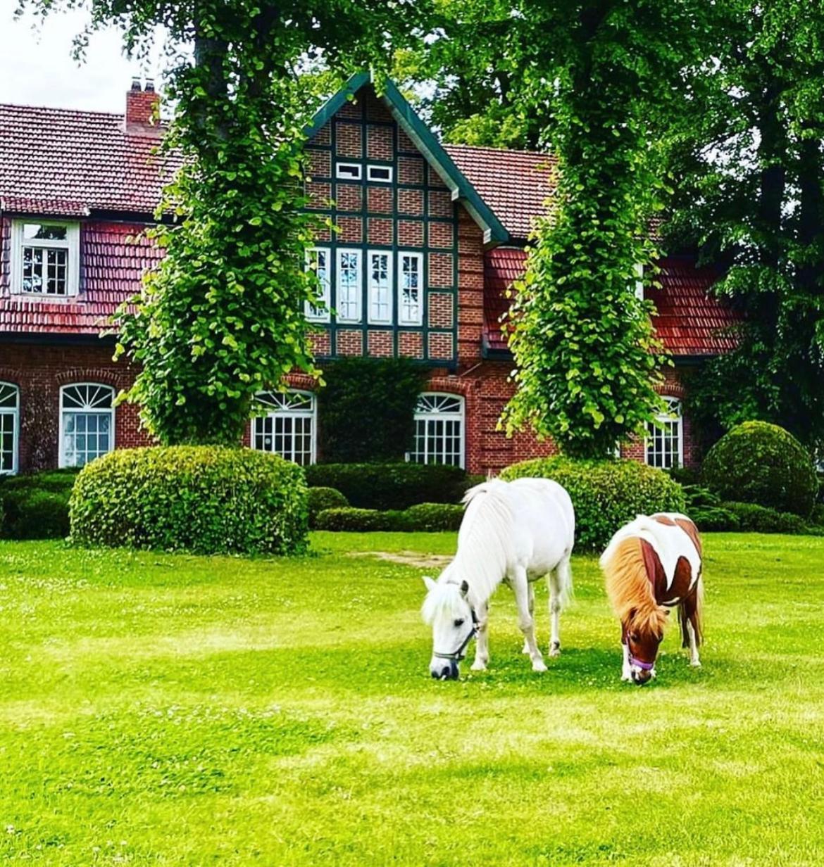 Hotel Hof Kirchhorst Gross Wittensee Εξωτερικό φωτογραφία